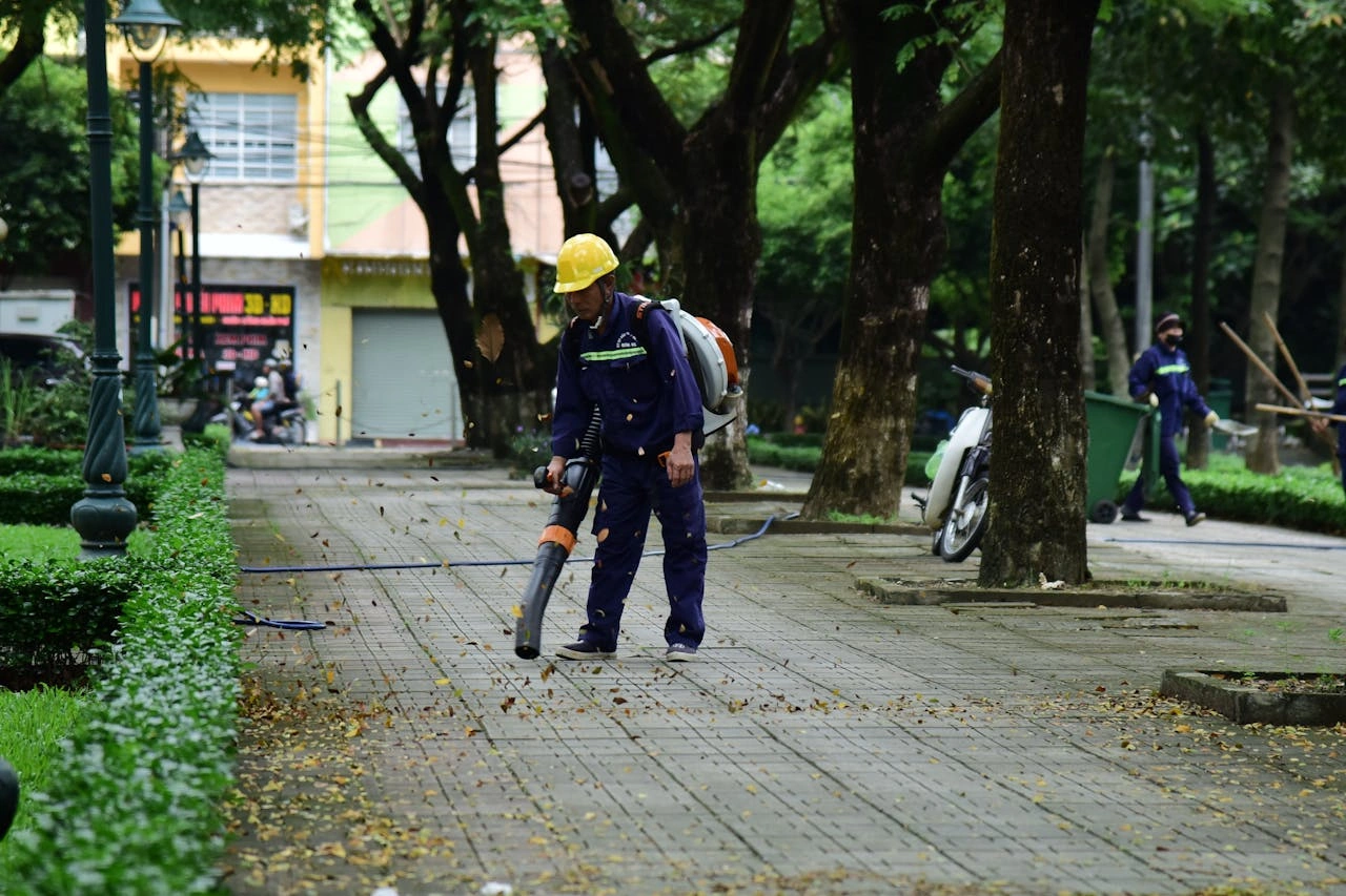 How to Find Reliable Cleaning Professionals Near You